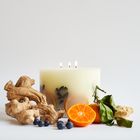 Oak Hills Mandarin & Ginger Large Botanical Candle