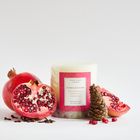 Oak Hills Pomegranate Medium Botanical Candle