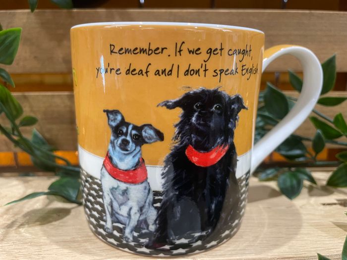 Fine Bone China Mugs