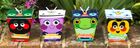 Mighty Microgreens Grow Heads, Children's Growing Kits