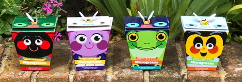 Mighty Microgreens Grow Heads, Children's Growing Kits