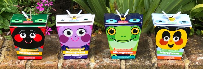 Mighty Microgreens Grow Heads, Children's Growing Kits