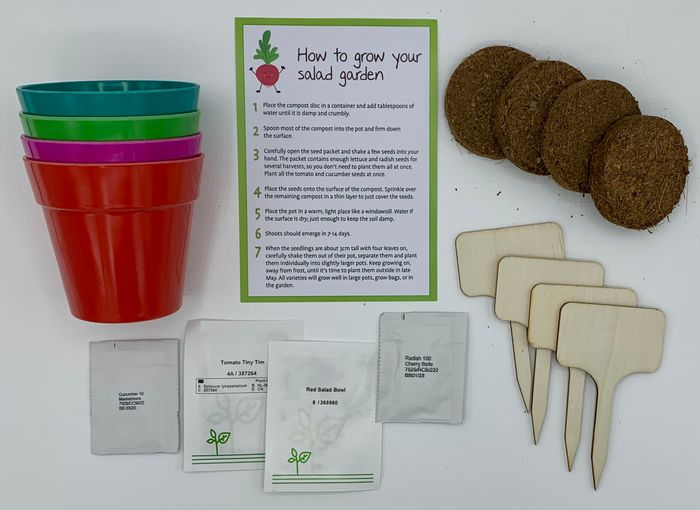 Grow Your Own Salad Garden Gift Bag