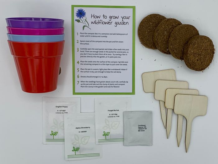 Grow Your Own Wildflower Garden Gift Bag