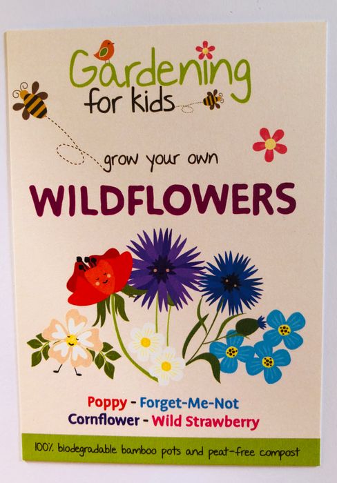 Grow Your Own Wildflower Garden Gift Bag