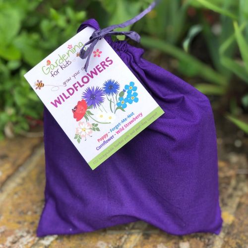 Grow Your Own Wildflower Garden Gift Bag