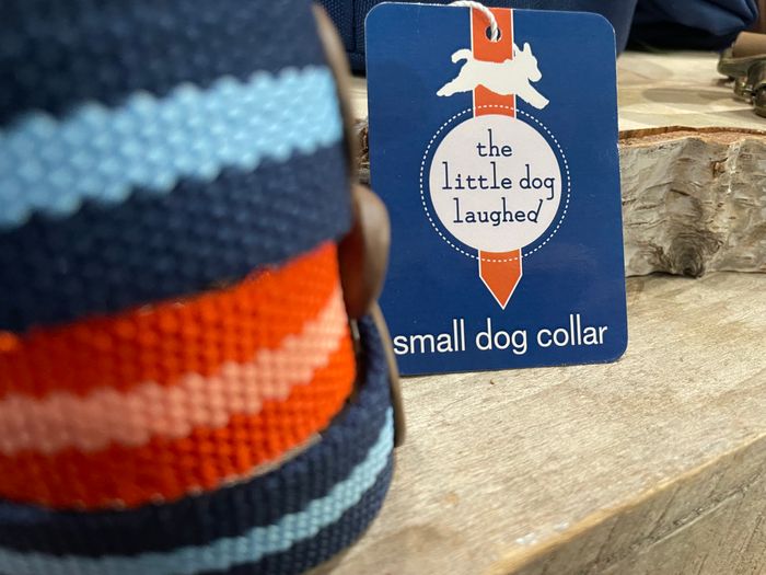 Pet Accessories