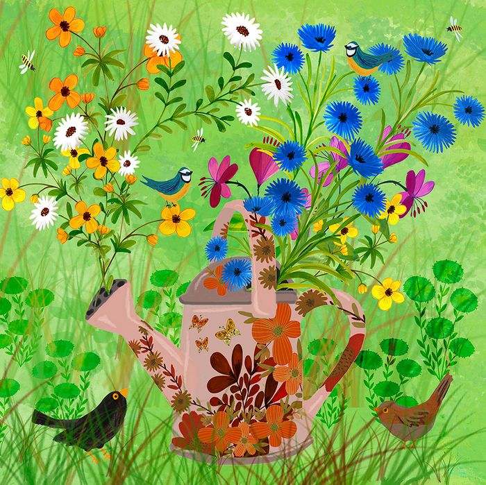 Kay Widdowson greeting cards range