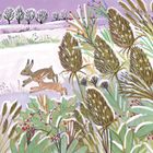 Kay Widdowson greeting cards range