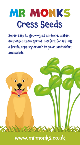 Mr Monks Cress Seeds – Easy Peasy, Super Speedy Greens!