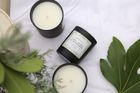 Lime, Basil & mandarin Coconut Wax Candle