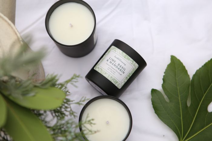 Lime, Basil & mandarin Coconut Wax Candle