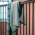 Blankets & Cushions