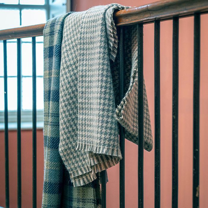 Blankets & Cushions