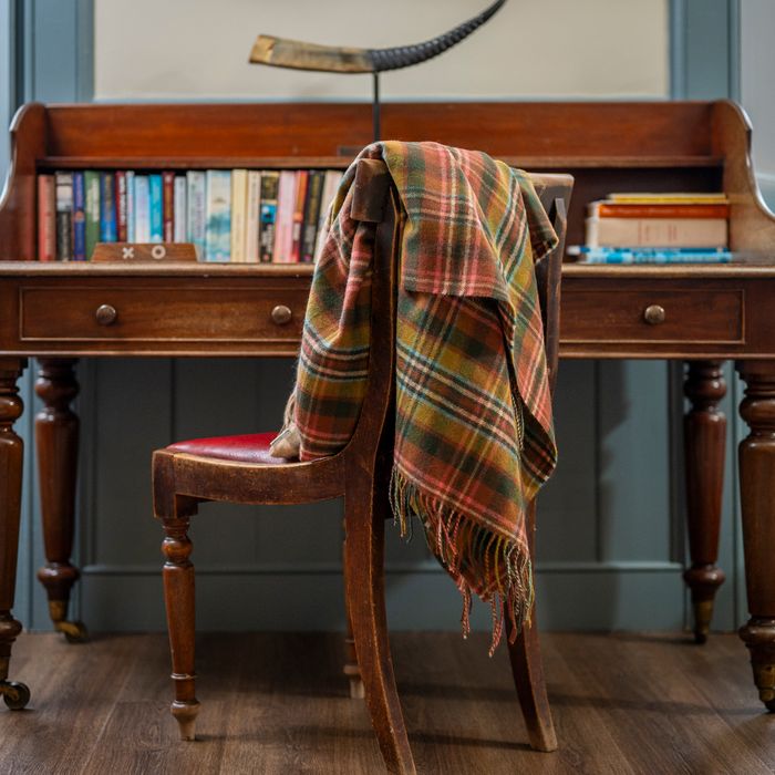 Blankets & Cushions