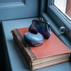 Pet Accessories & Tartan Purses