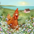 Lia Contrino greeting cards range.