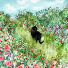 Lia Contrino greeting cards range.