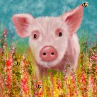Lia Contrino greeting cards range.