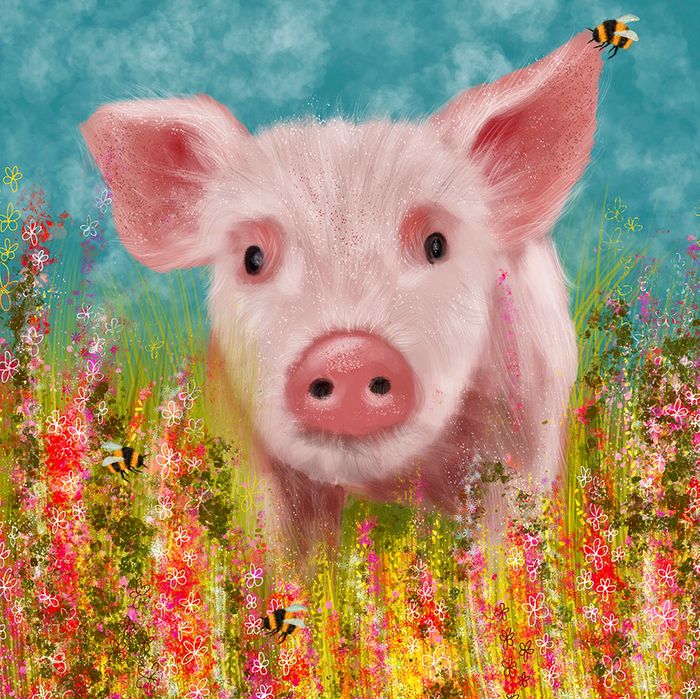 Lia Contrino greeting cards range.
