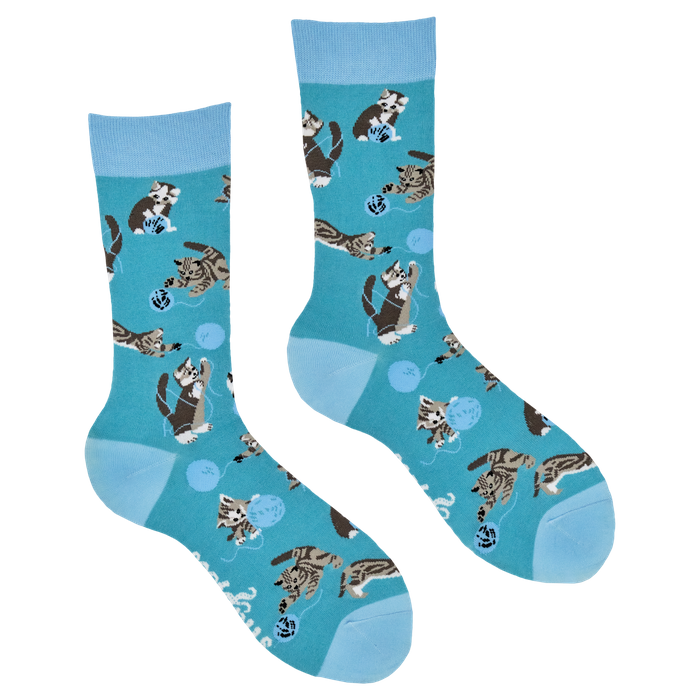 Cats and Wool Socks