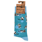 Cats and Wool Socks
