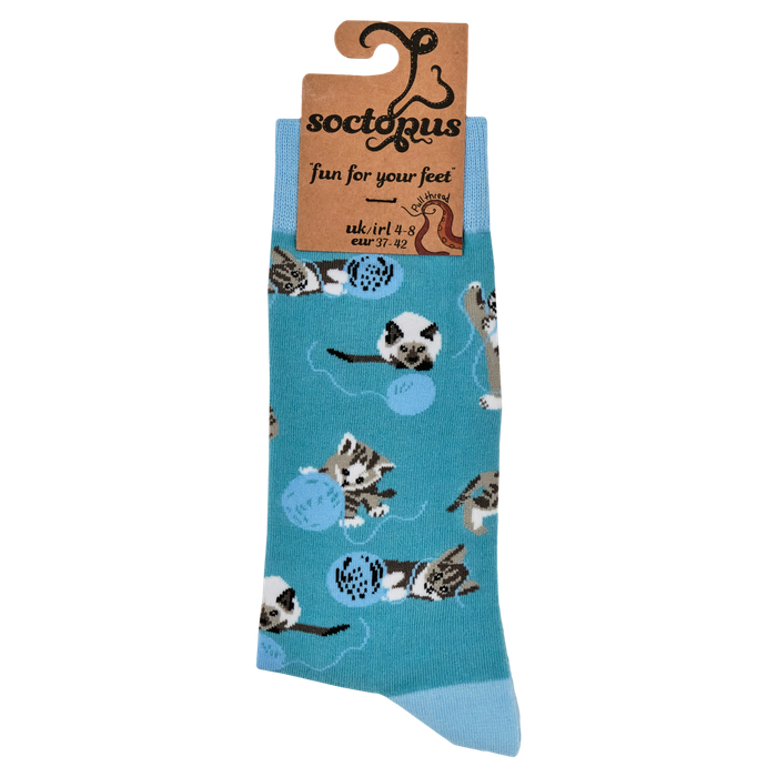 Cats and Wool Socks