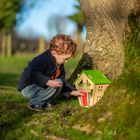 Bug House