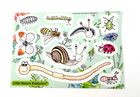 Little Nature Explorers Complete Wildflower Growing Kits