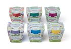Little Nature Explorers Complete Wildflower Growing Kits