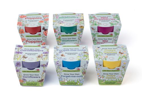 Little Nature Explorers Complete Wildflower Growing Kits