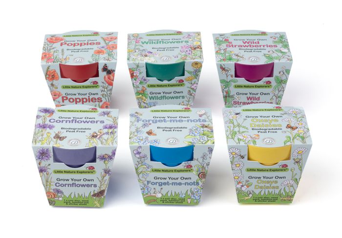 Little Nature Explorers Complete Wildflower Growing Kits