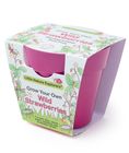 Little Nature Explorers Complete Wildflower Growing Kits