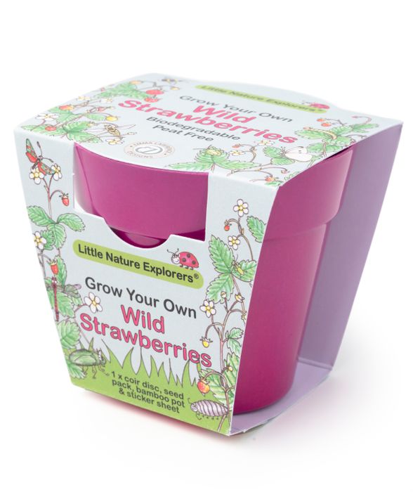 Little Nature Explorers Complete Wildflower Growing Kits