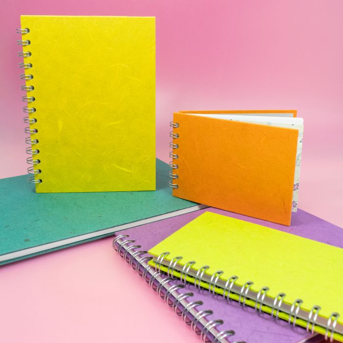 Pink Pig Notebooks