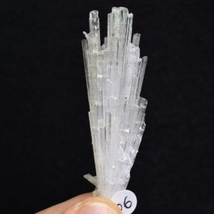 Synergy 12 Crystal Collection