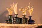 Collection of small vases extended