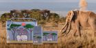 Savanna Elephant Accessories