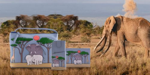 Savanna Elephant Accessories