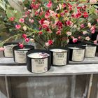 Botanical Candles