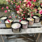 Botanical Candles