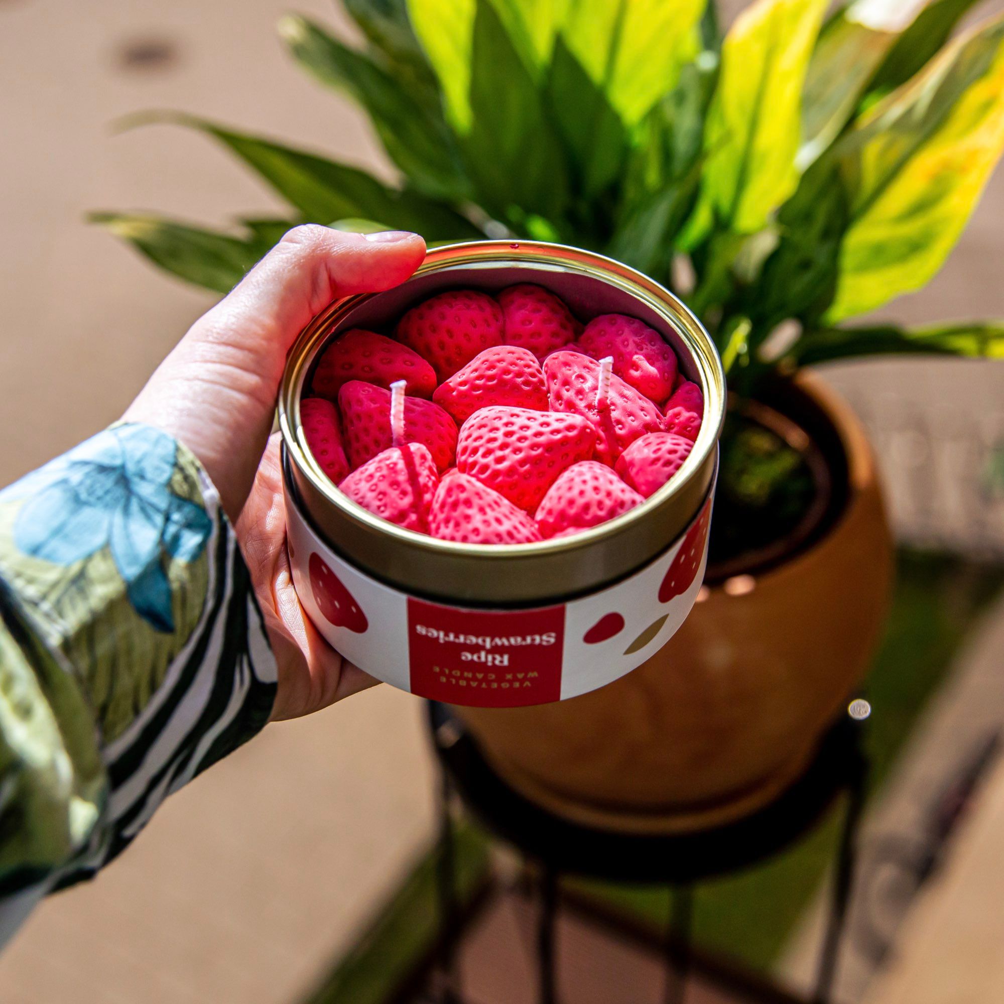 CandleCan Candles - Sealed In A Can