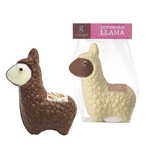 Cotswold Llama