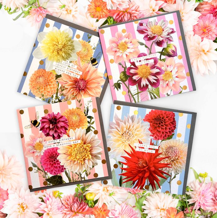 Dahlia Beach x Lola design