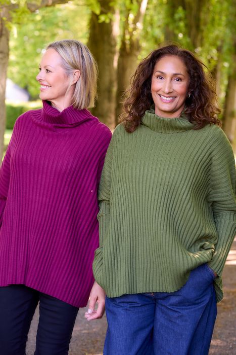 Rib Roll Neck Jumper