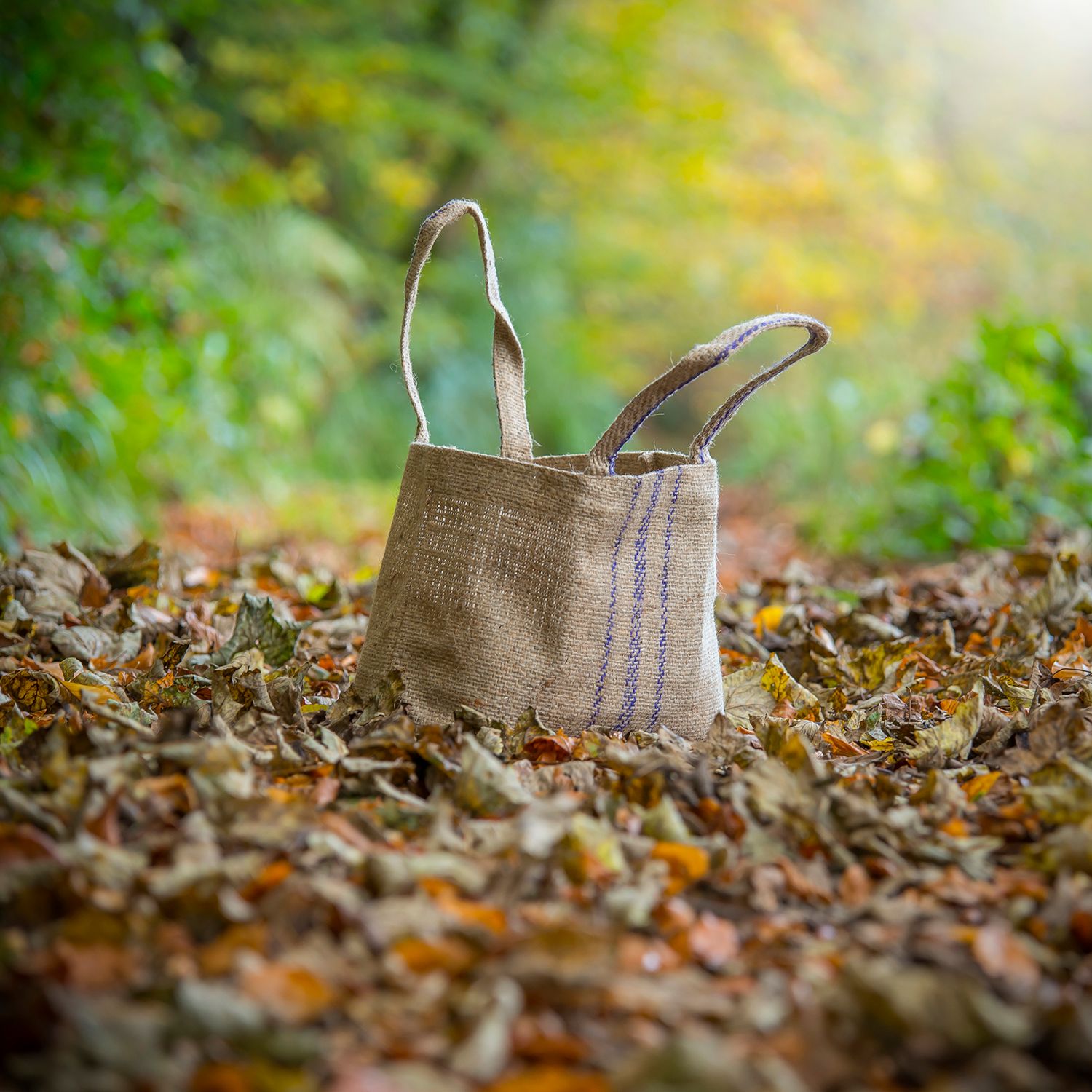 Baskets and Bags