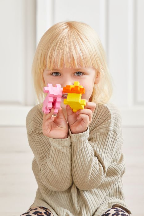 Plus-Plus BIG Activity Farm