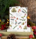 The World of Peter Rabbit Christmas Card Collection