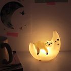 Lights
