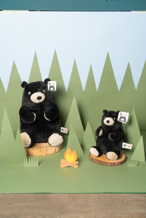 Plush Bear Toys
